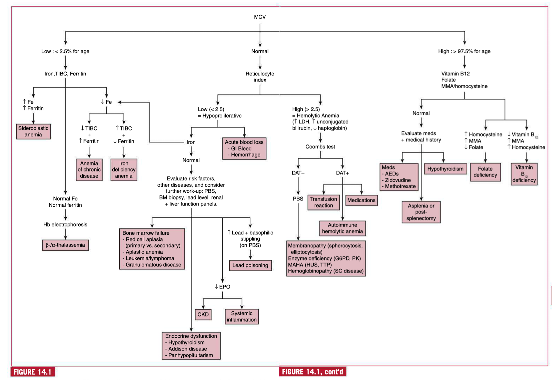 Hình 14.1. Tiếp cận thiếu máu